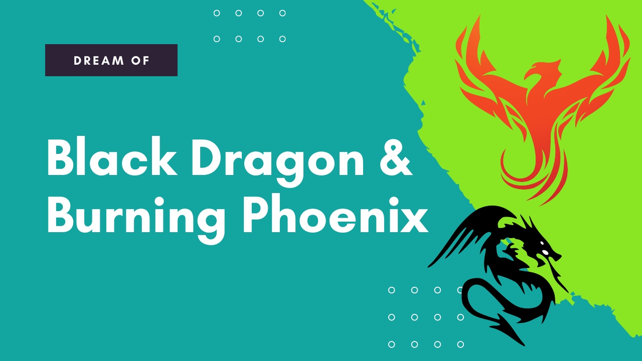 dream of black dragon burning phoenix